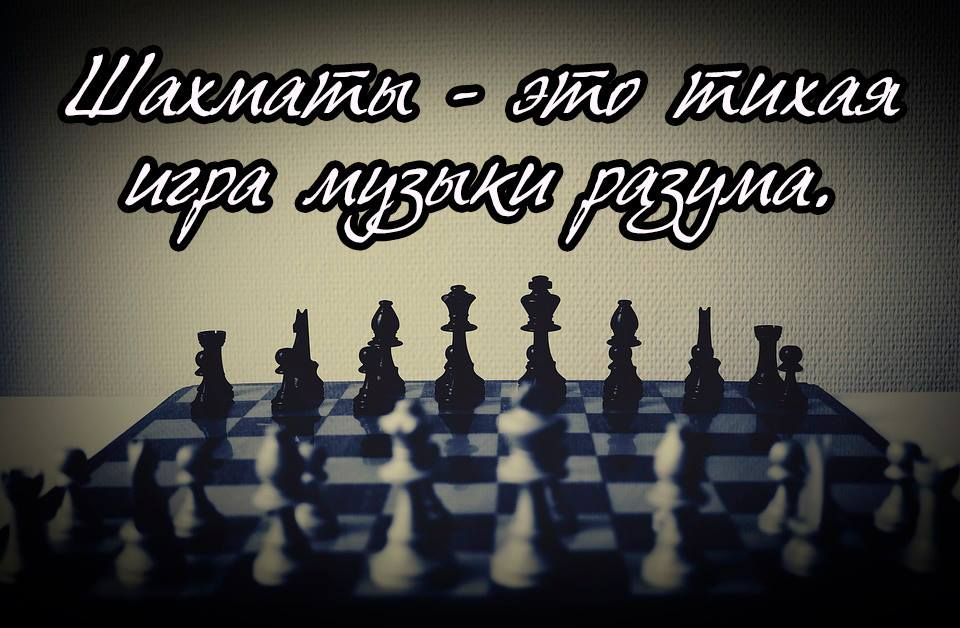 Точка роста: Шахматы — это тихая игра музыки разума..